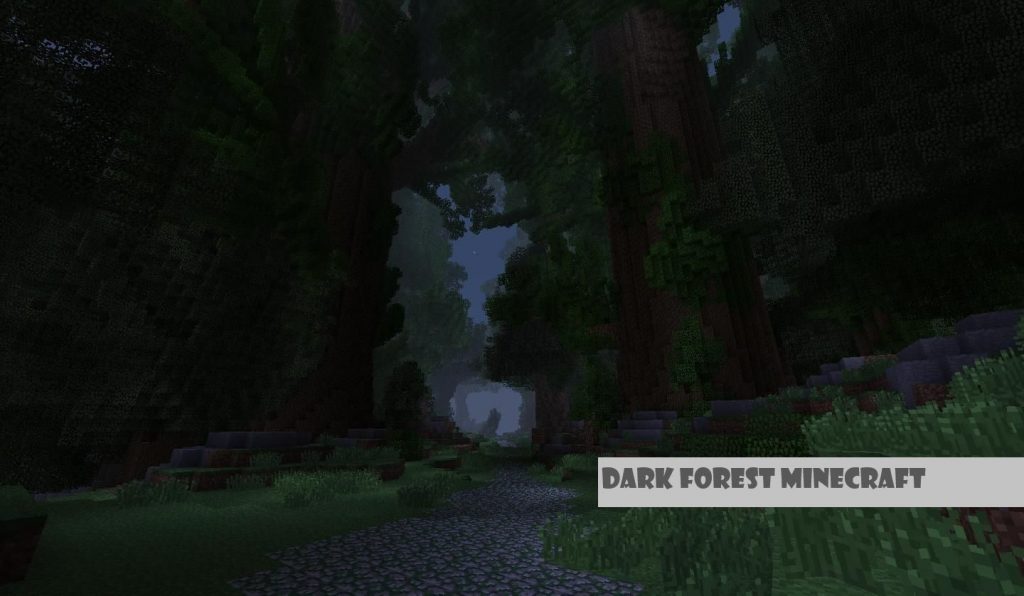Dark Forest Minecraft