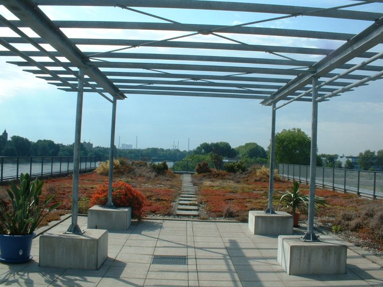 Pergola With Polycarbonate Roof