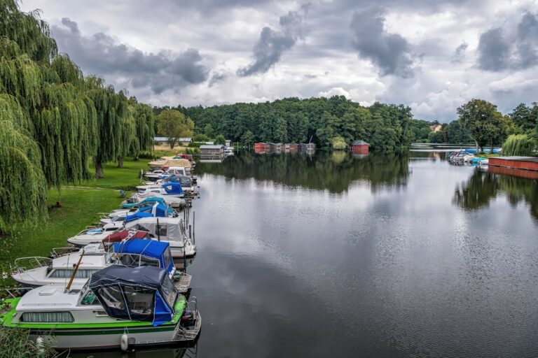 What Is a Boat Charter? A Beginner’s Guide to Getting Started boat charter