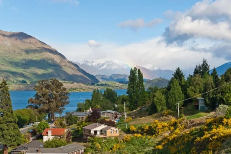 New Zealand for First-Time Travellers: How to Go Beyond the Typical Itinerary New Zealand Tour Packages